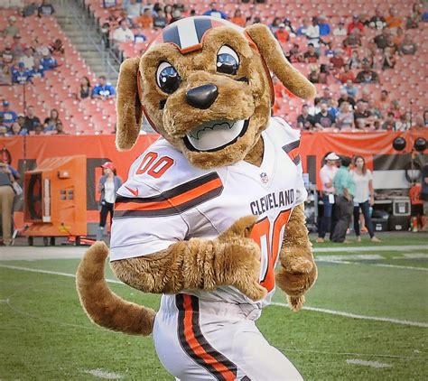 Chomps: Not Just a Mascot, but a Symbol for the Cleveland Browns